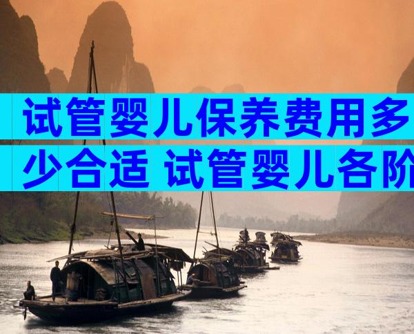 试管婴儿保养费用多少合适 试管婴儿各阶段费用